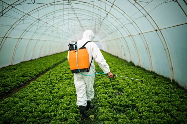 Best Pest Control Near Me  in Brandenburg, KY