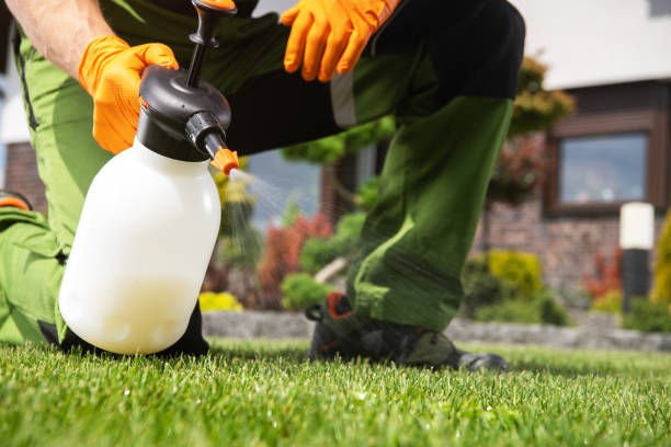 Best Best Pest Control Companies  in Brandenburg, KY