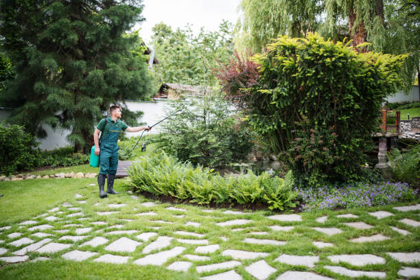 Best Pest Removal Services  in Brandenburg, KY