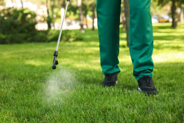 Flea Control Services in Brandenburg, KY