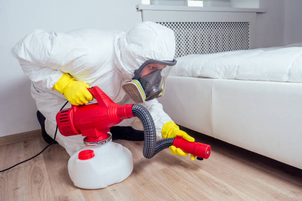 Trusted Brandenburg, KY Pest Control Experts