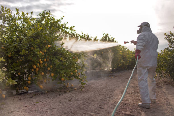 Best Wildlife Control Services  in Brandenburg, KY